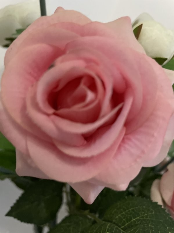 我在快手买的东西快递单号丢了查不到信息怎么办