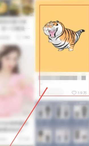 怎么查一个人的小红书号